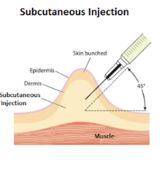 Subcutaneous Injection Guide Basics And Best Practices